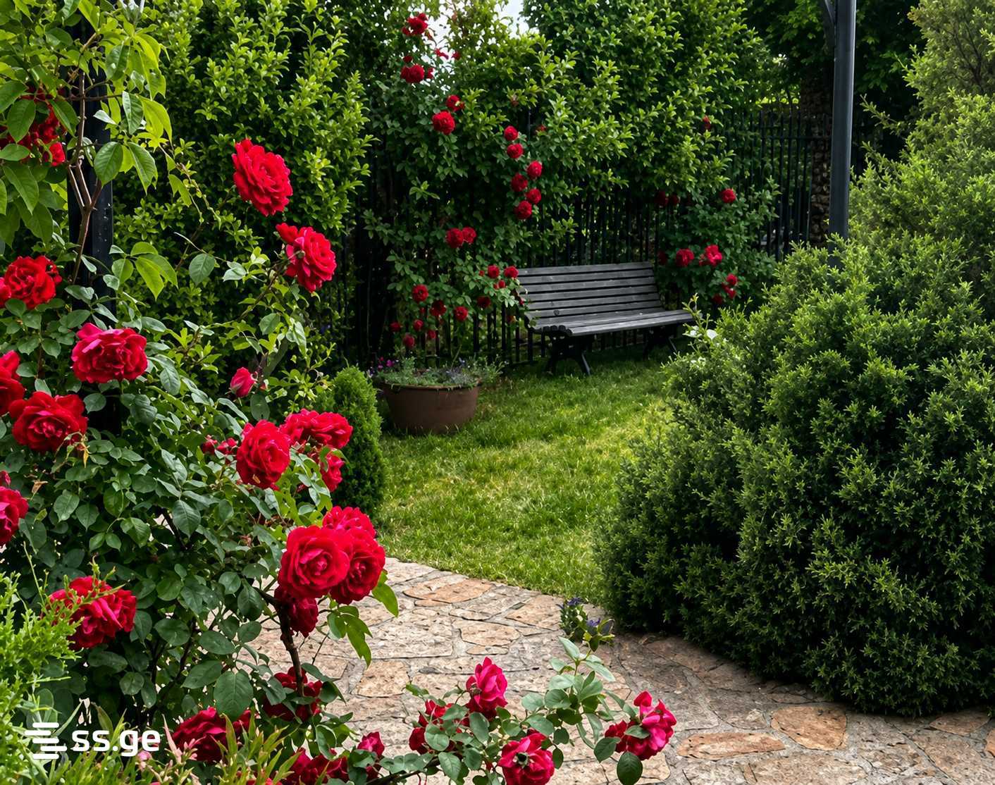 2 Room Summer Cottage Daily Rent. Saguramo, 9 of 9