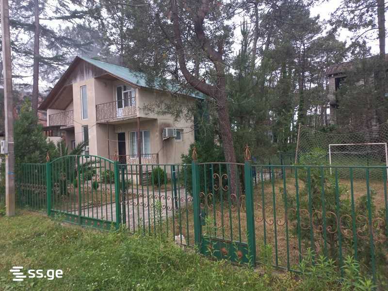 5 Room Private House Daily Rent. Grigoleti view 1