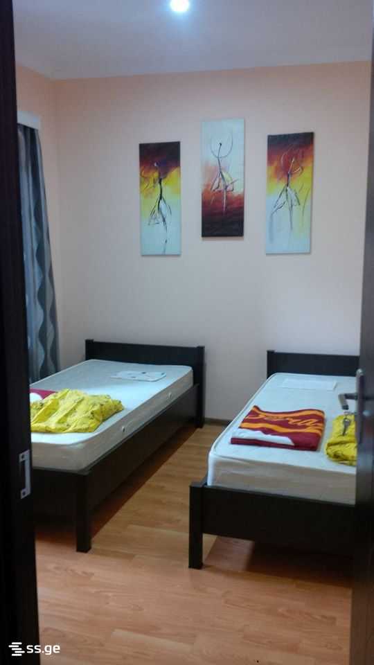 5 Room Private House Daily Rent. Grigoleti view 10