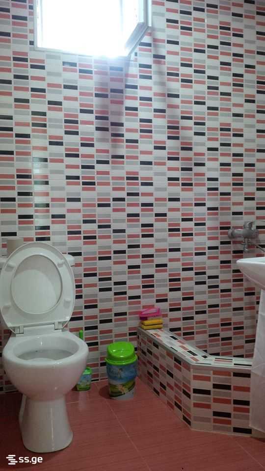 5 Room Private House Daily Rent. Grigoleti view 12