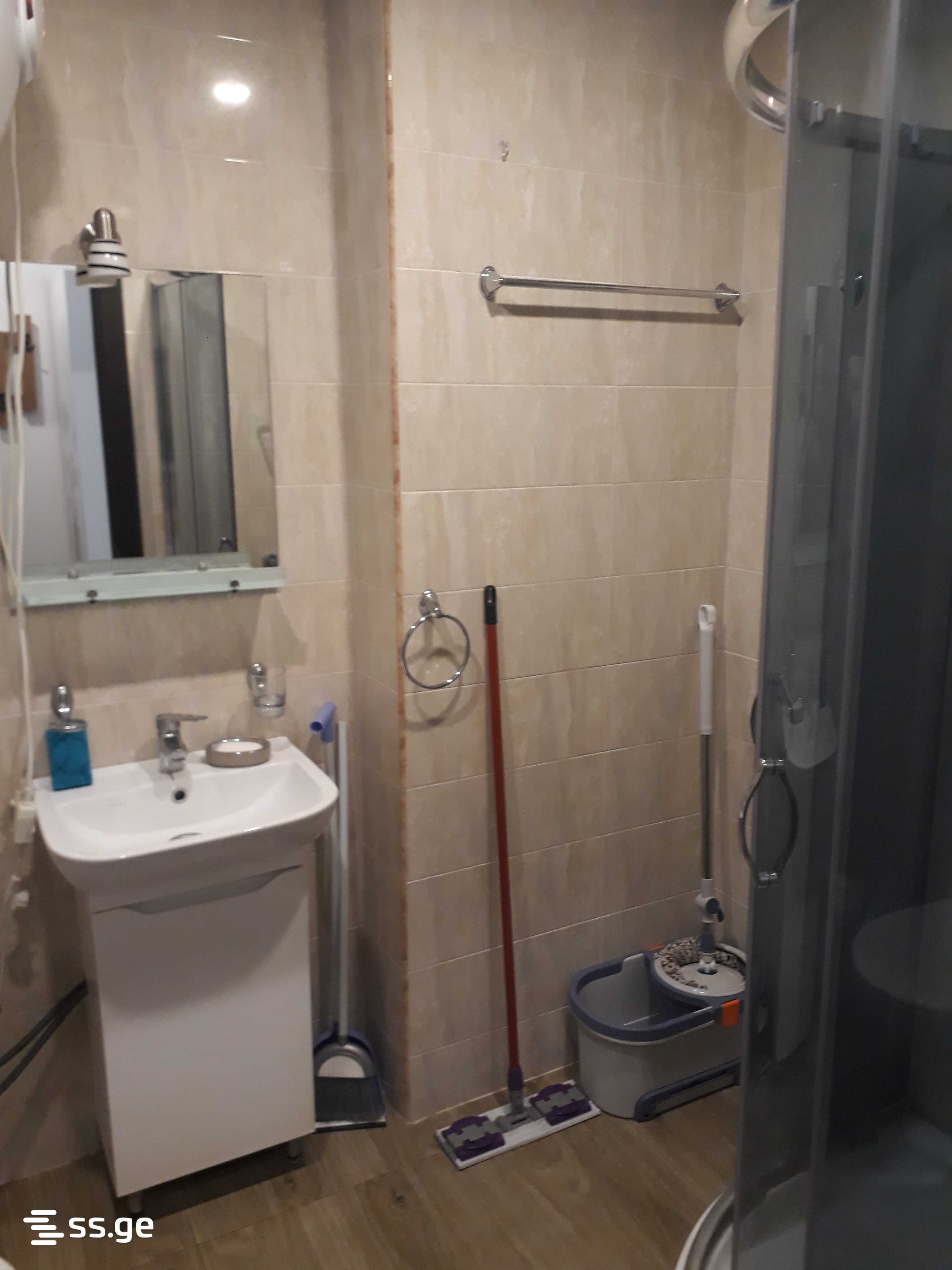 1 Room Flat Daily Rent. Bakuriani view 9