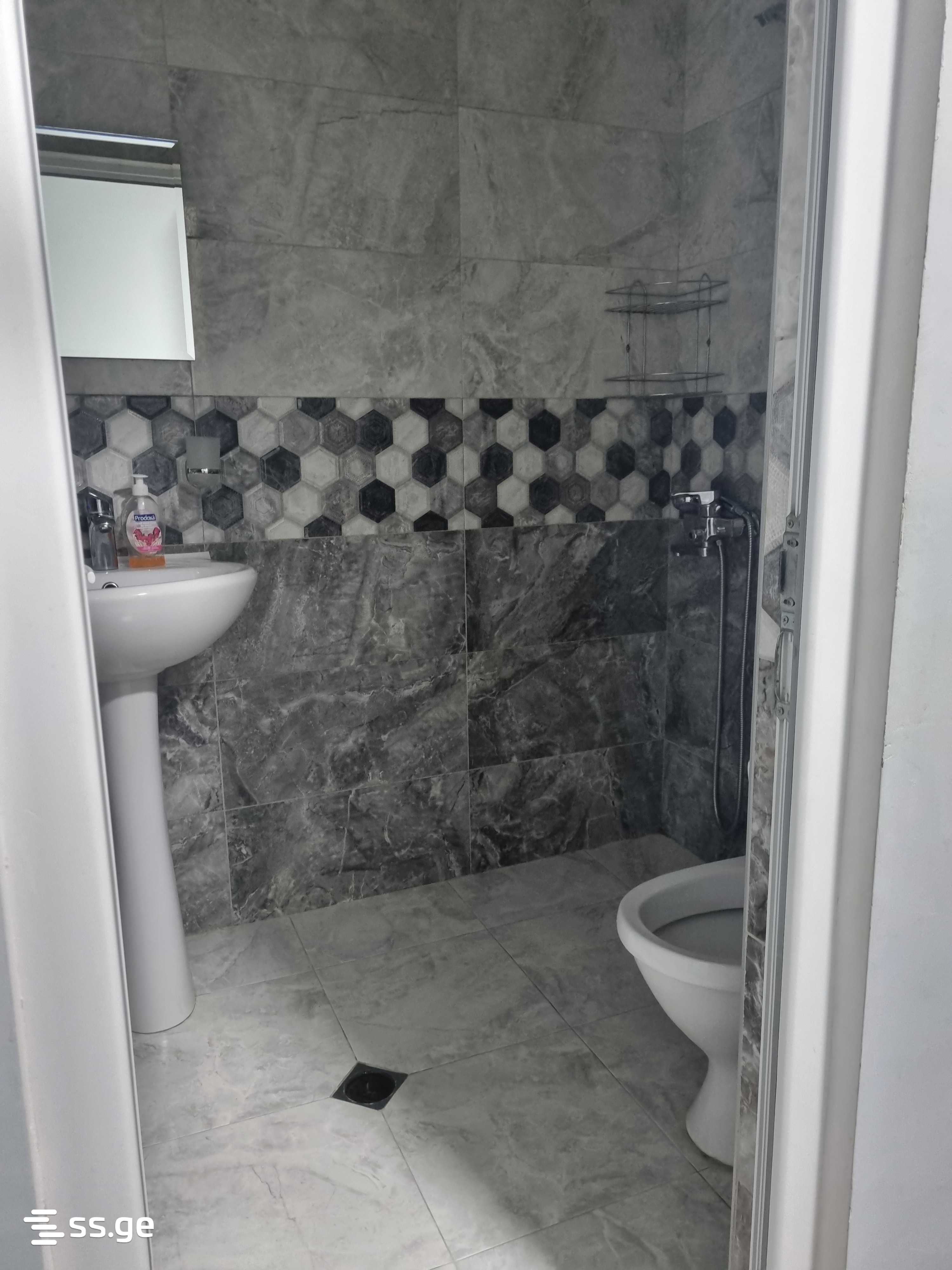 1 Room Flat Daily Rent. Borjomi view 4