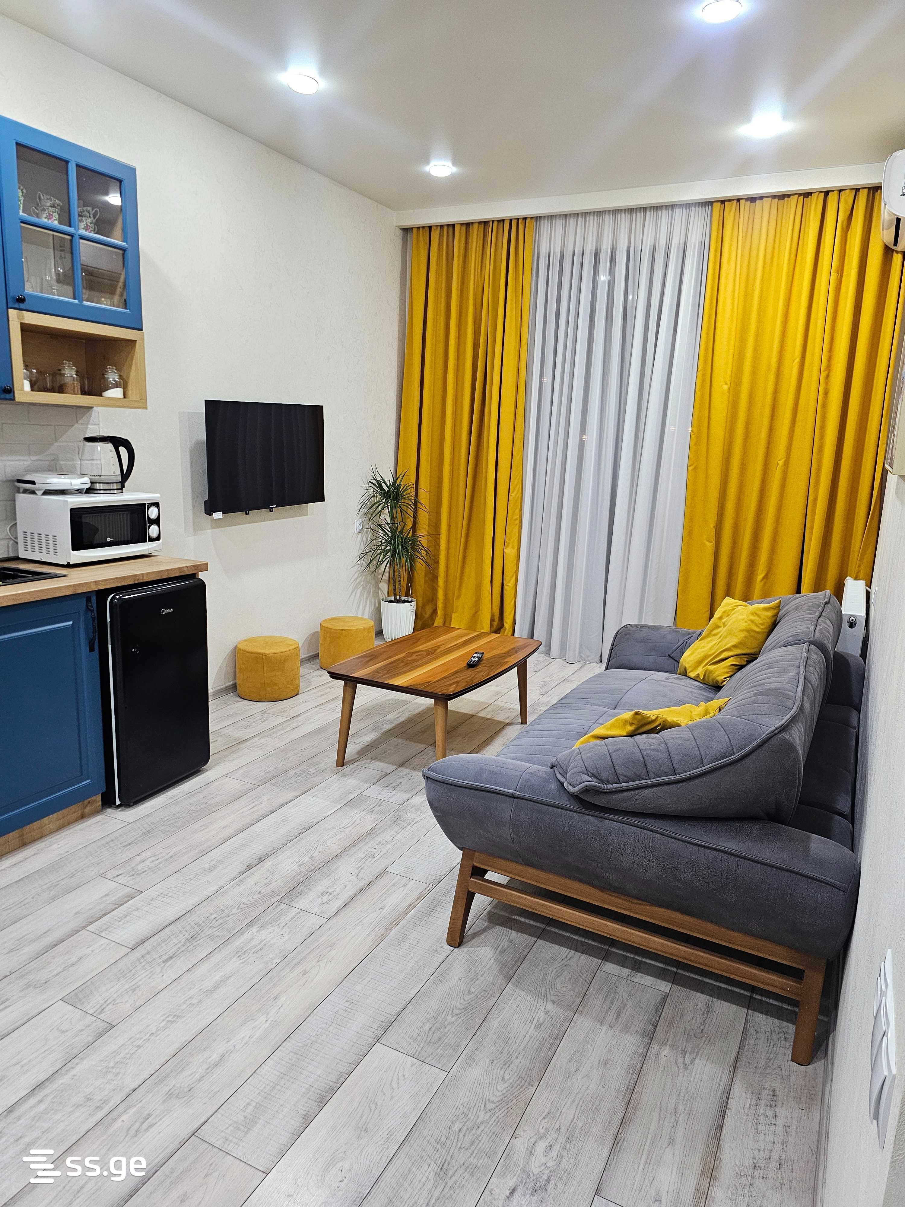 2 Room Flat Daily Rent. Vazisubani view 2