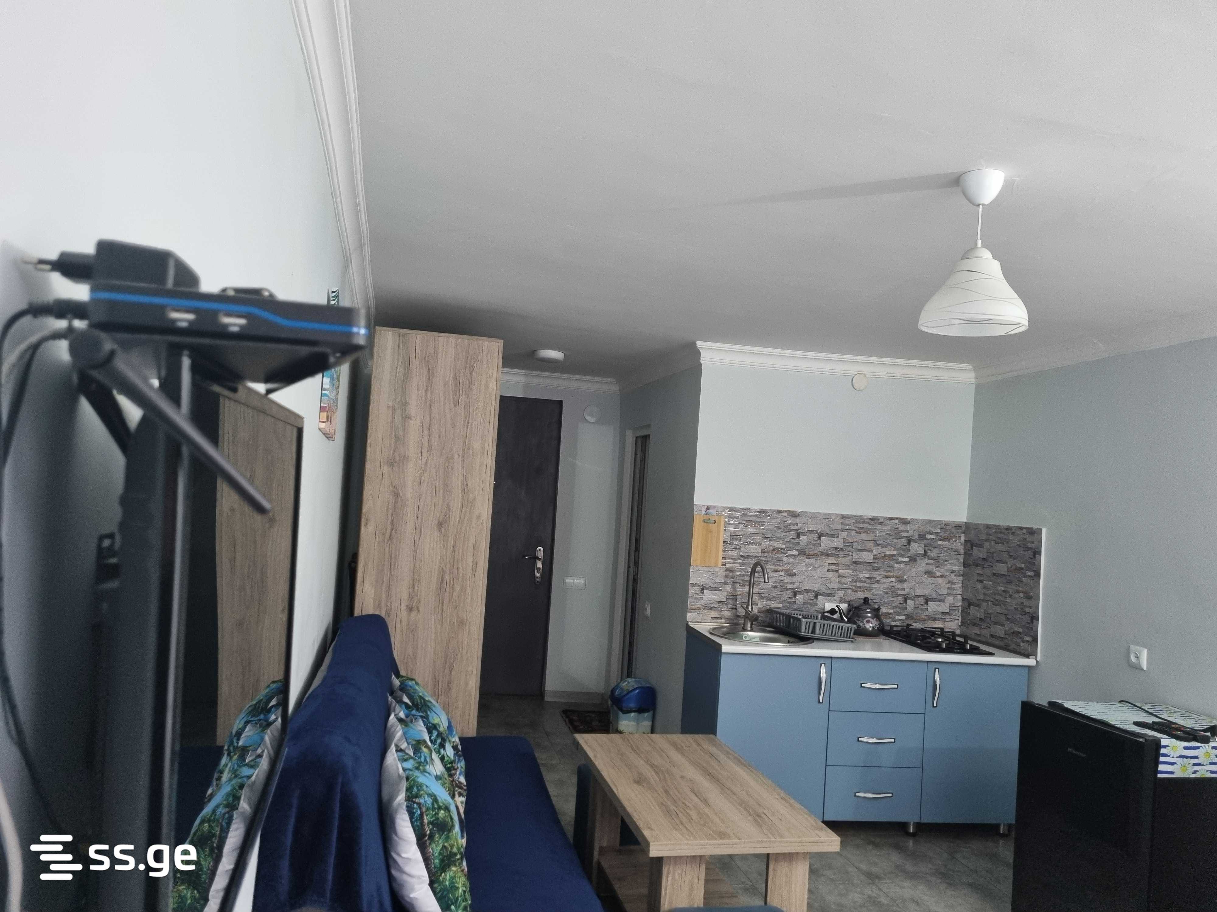 1 Room Flat Daily Rent. Borjomi view 7