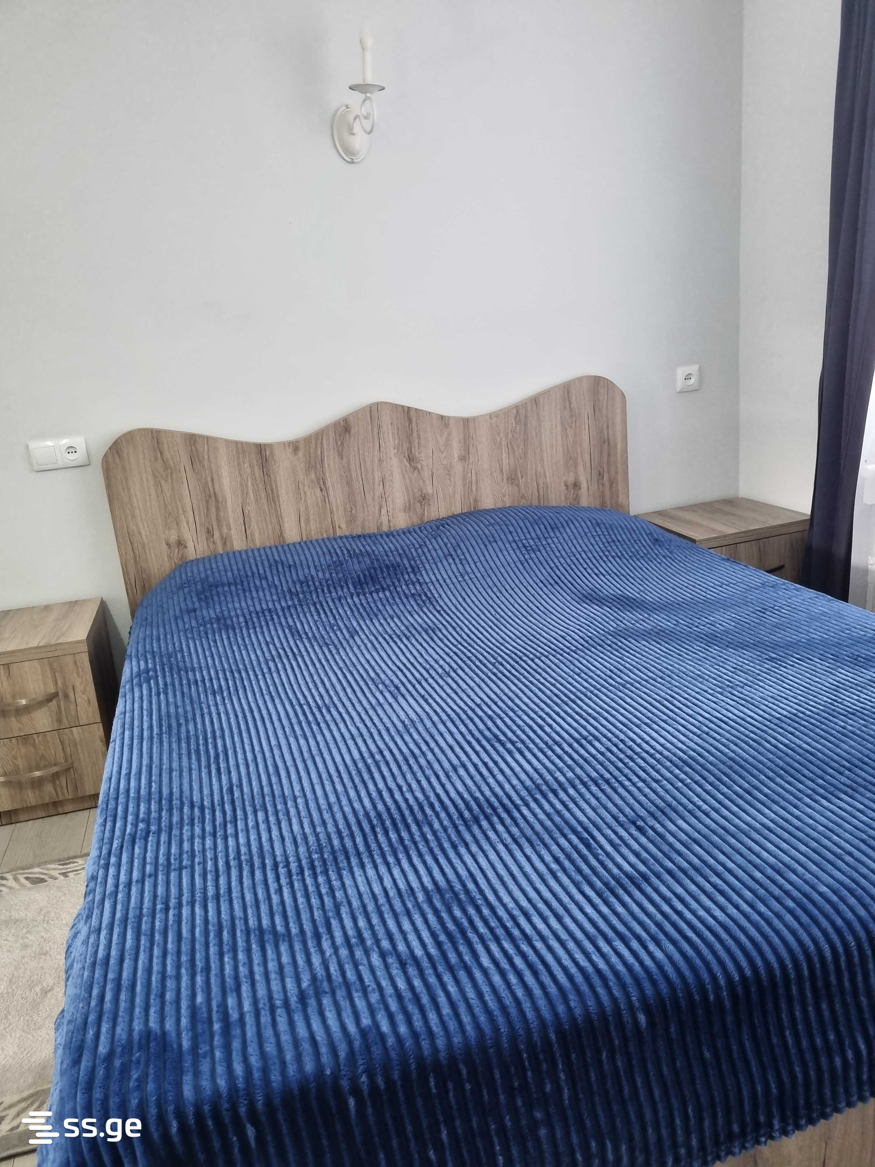 1 Room Flat Daily Rent. Borjomi view 8