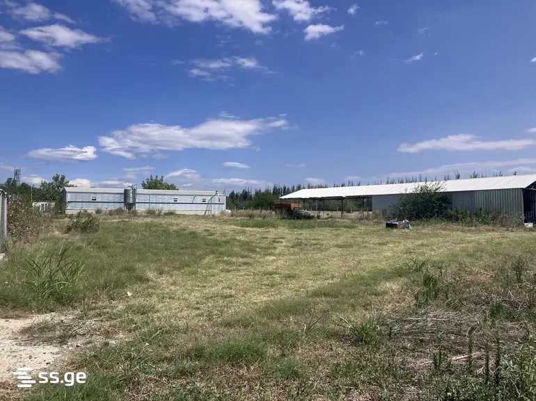 Store-Industrial Property For Sale. Gardabani view 2