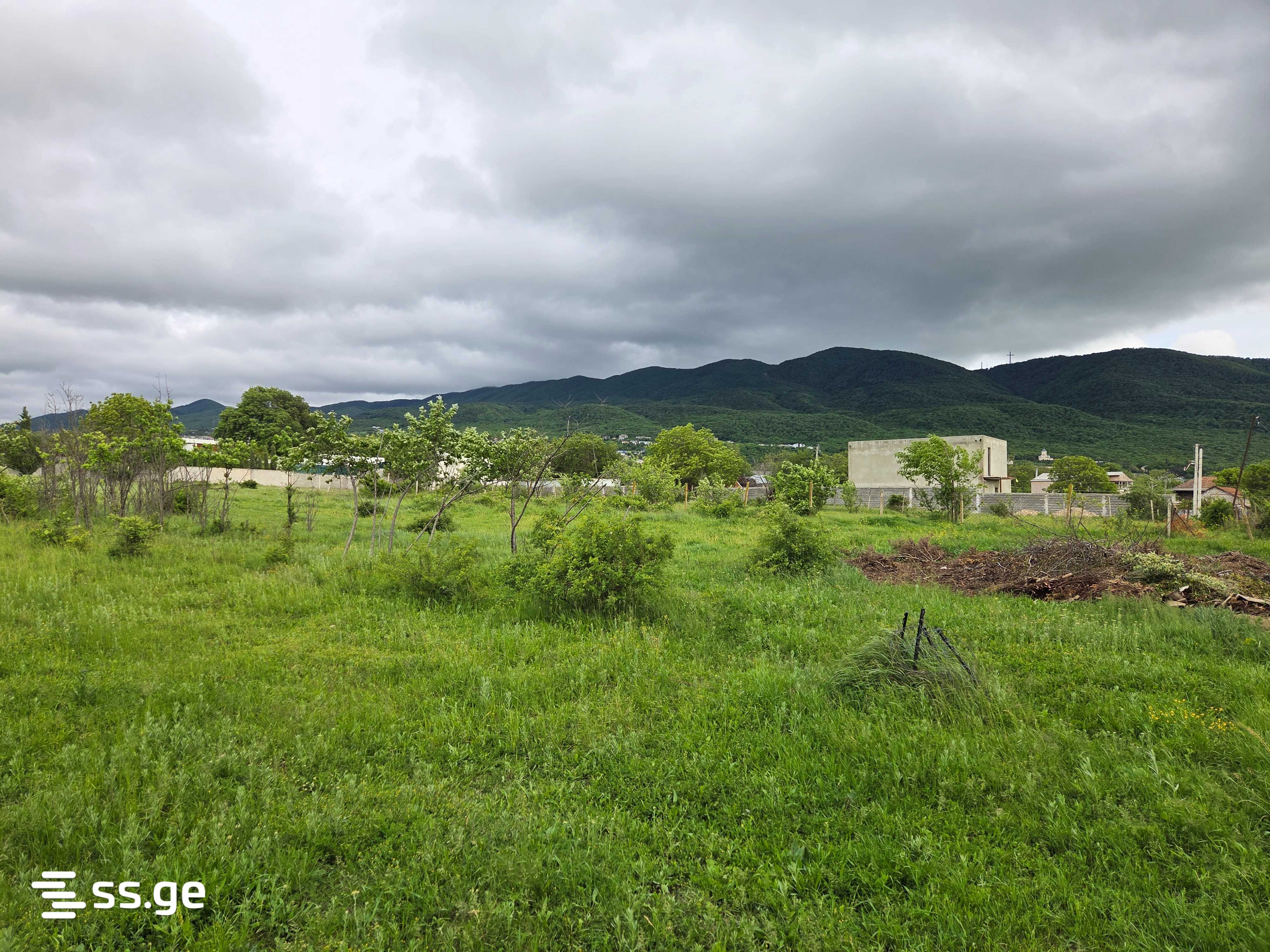Land For Sale. Saguramo - Widok 3