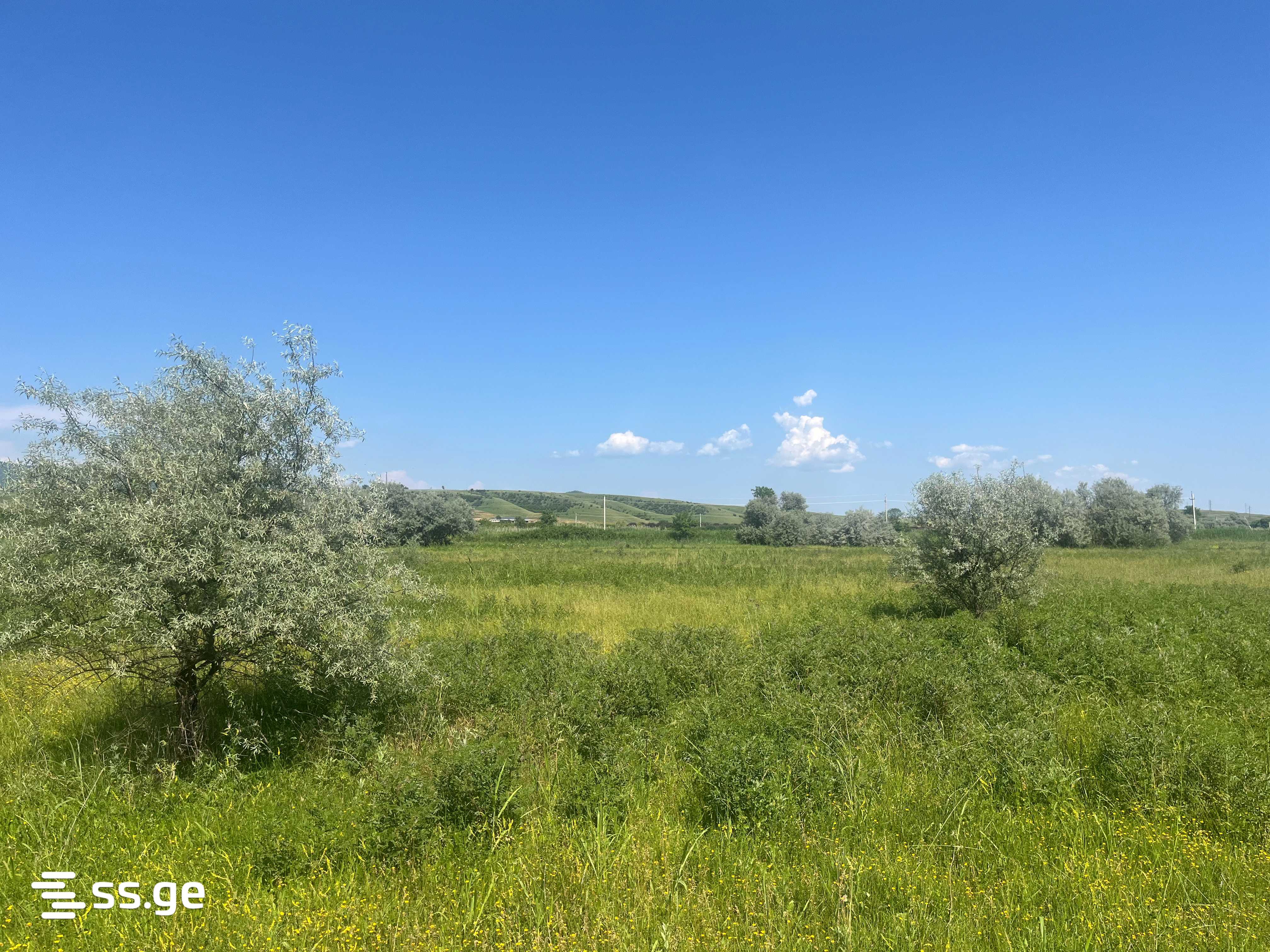 Land For Sale. Sagarejo view 1