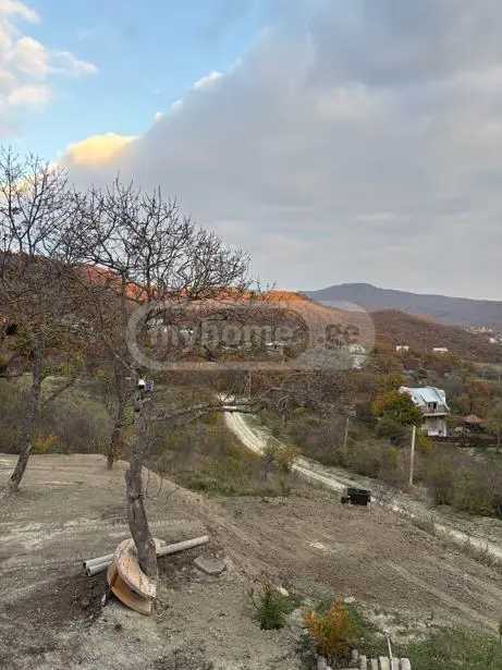 https://static.ss.ge/20260519/14_10d2693a-0e6e-4393-a045-574957b9a41f_Thumb.jpg