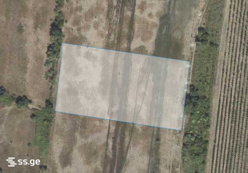 Land For Sale. Sagarejo view 4