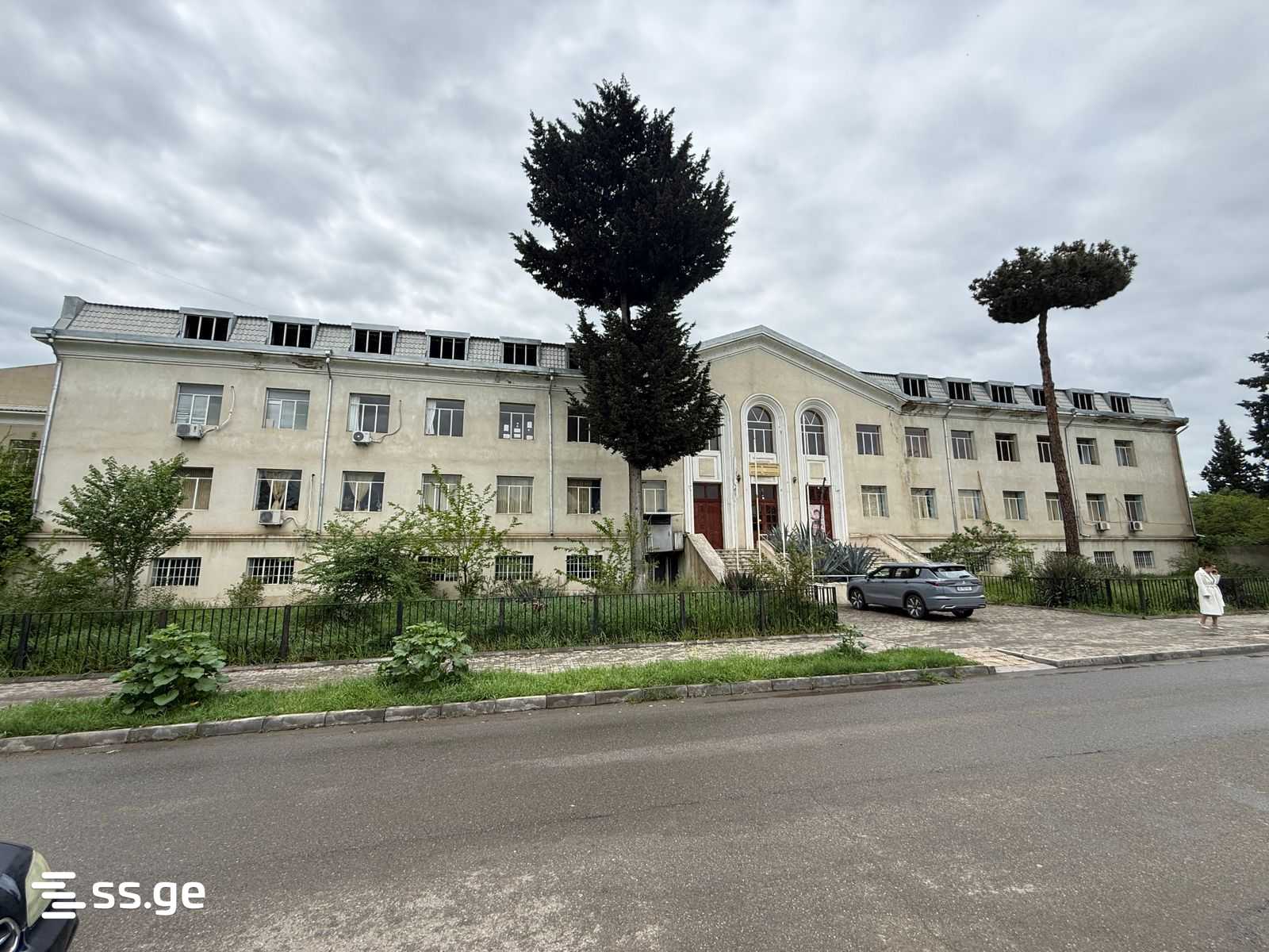 Commercial Space For Sale. Rustavi view 2