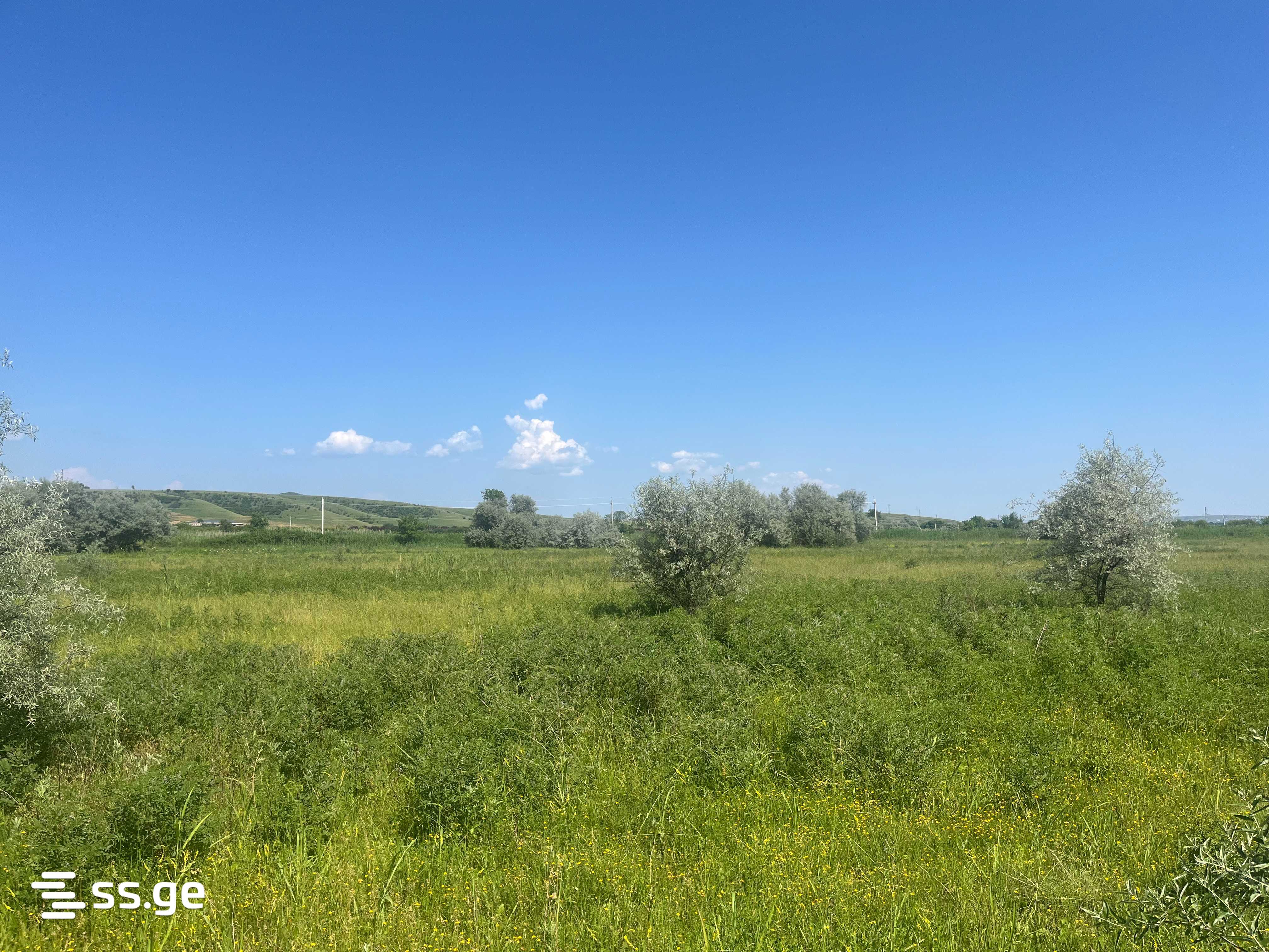 Land For Sale. Sagarejo view 3