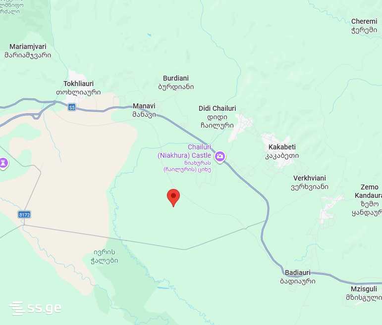 Land For Sale. Sagarejo view 5