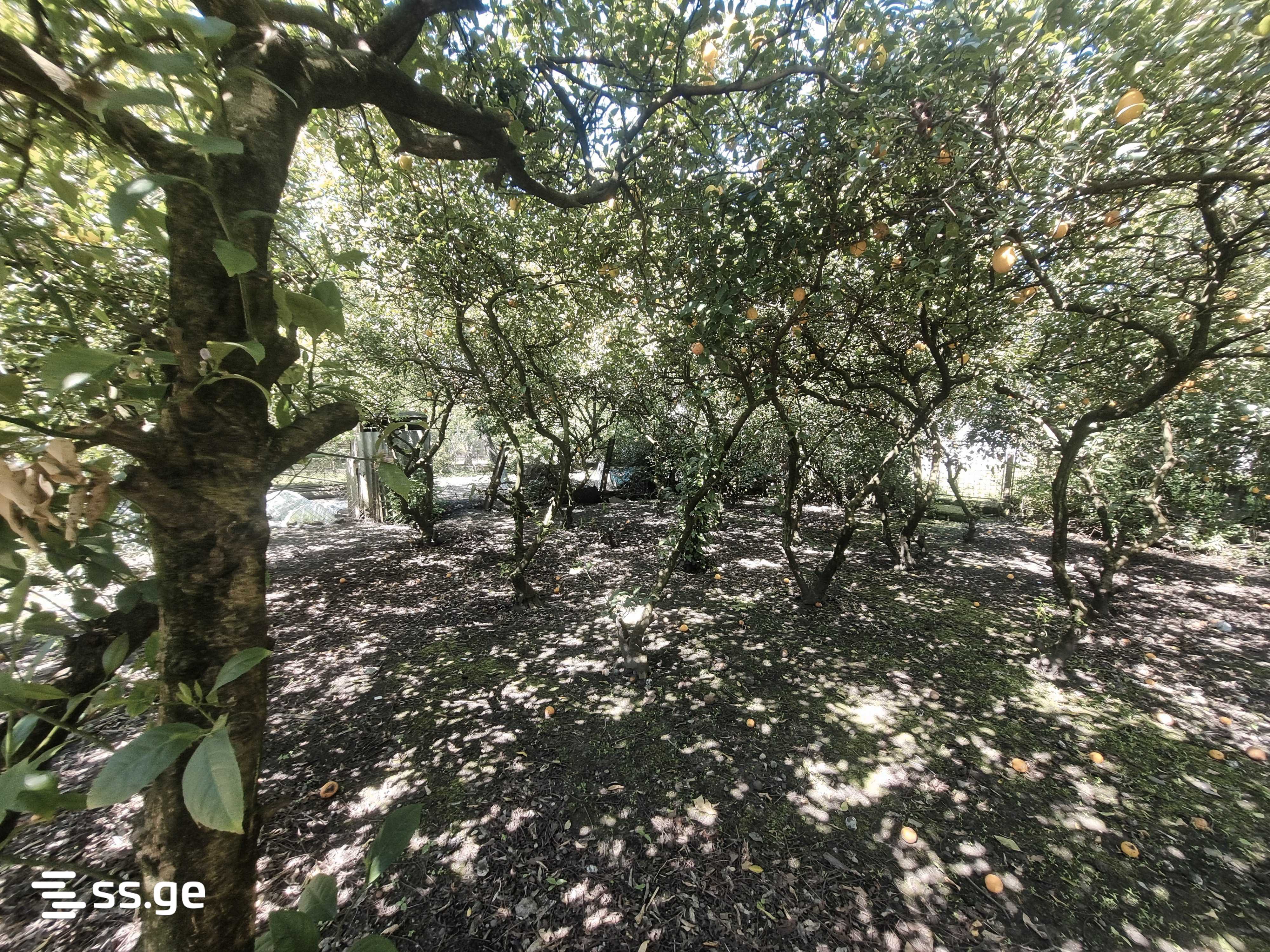 5 Room Private House For Sale view 12