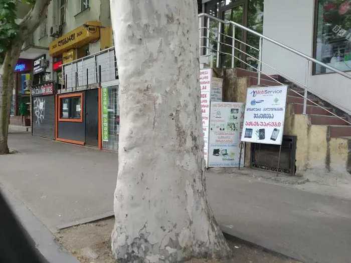 https://static.ss.ge/20260519/18_08d7343d-b1c2-4cb3-815b-ce52c247ecea_Thumb.jpg