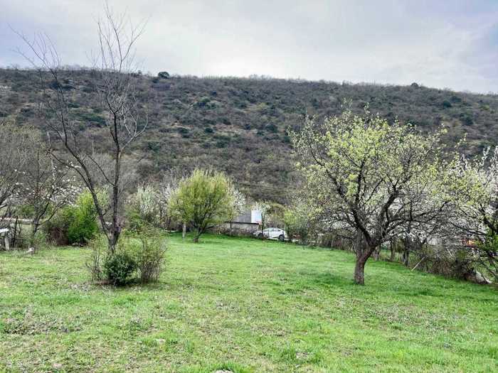 https://static.ss.ge/20260519/18_fede196a-2bc5-495b-873d-fbed9233482f_Thumb.jpg