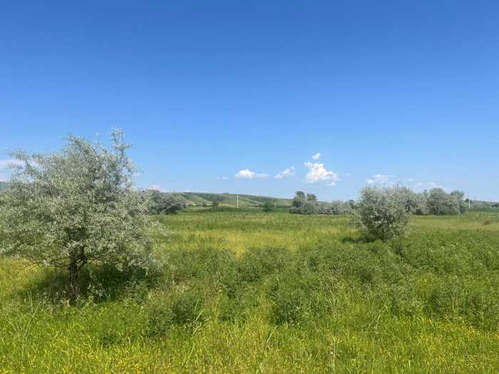 https://static.ss.ge/20260519/19_33efb138-9b9a-4ab2-ab30-671286fb7ee4_Thumb.jpg