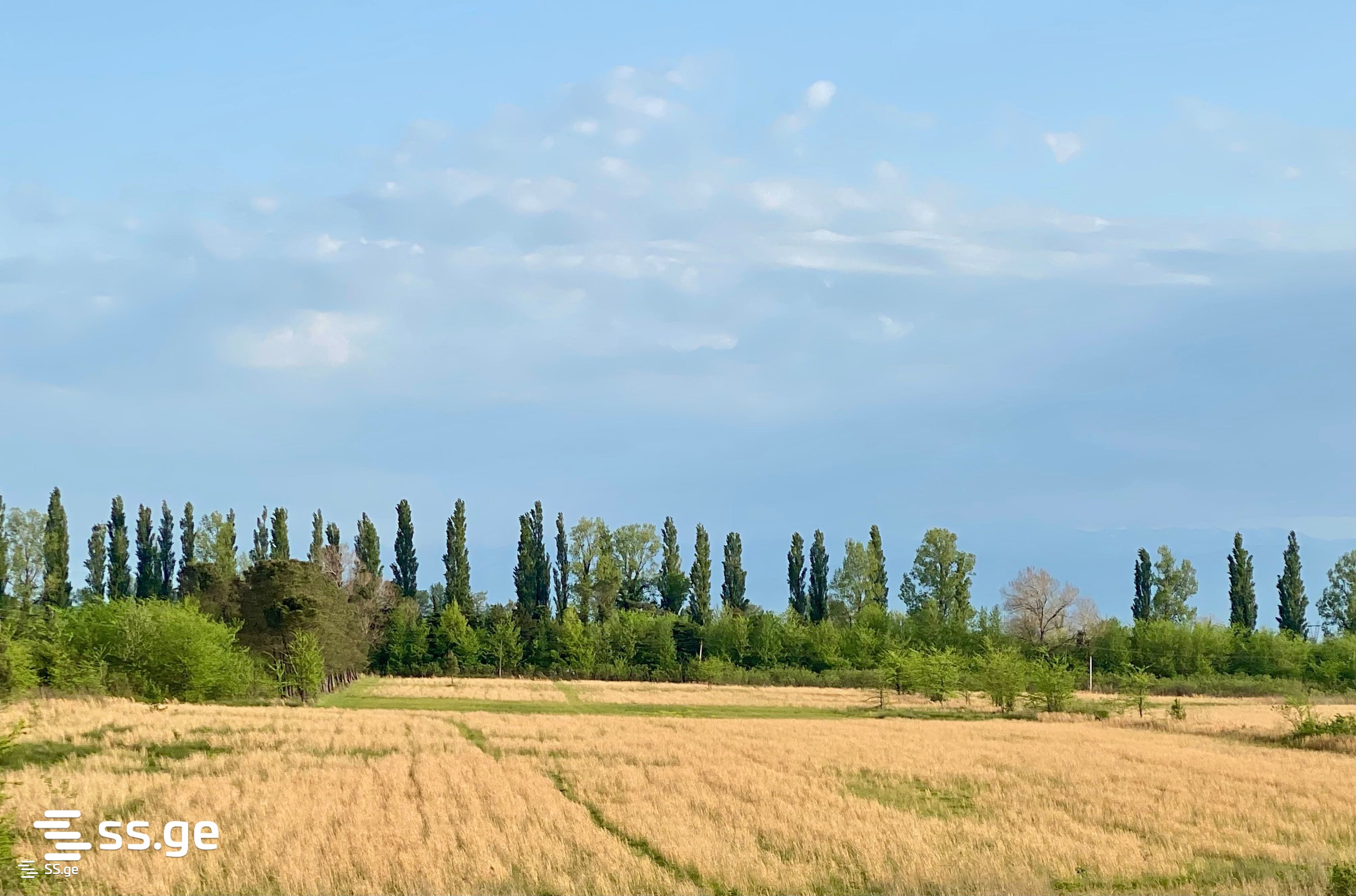 Land For Sale. Kutaisi view 8