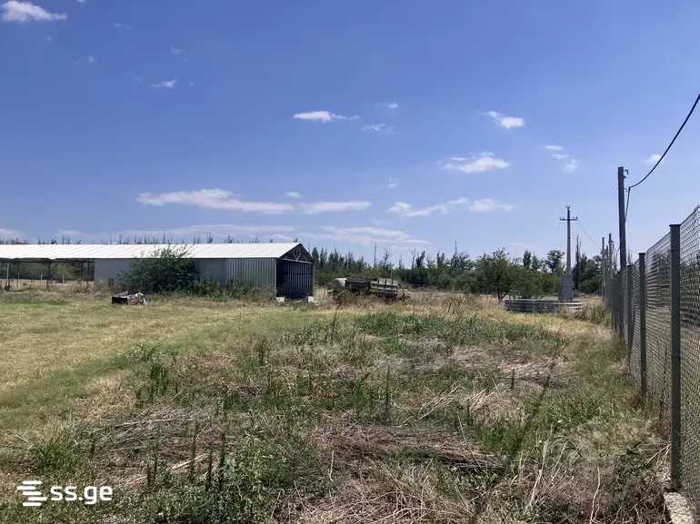 Store-Industrial Property For Sale. Gardabani view 4