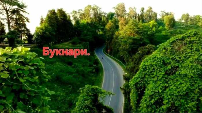 https://static.ss.ge/20260519/4_2660d455-b3aa-4c55-8eec-1db35803a141_Thumb.jpg