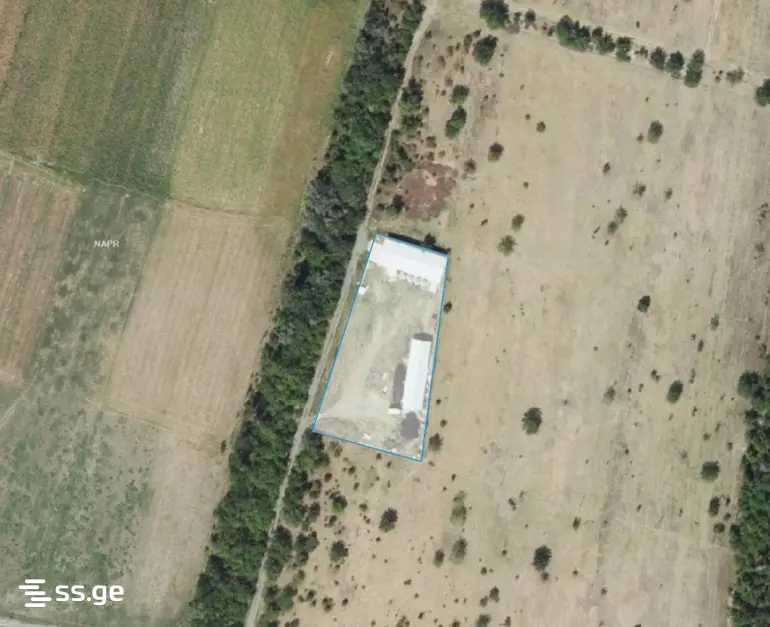 Store-Industrial Property For Sale. Gardabani view 5