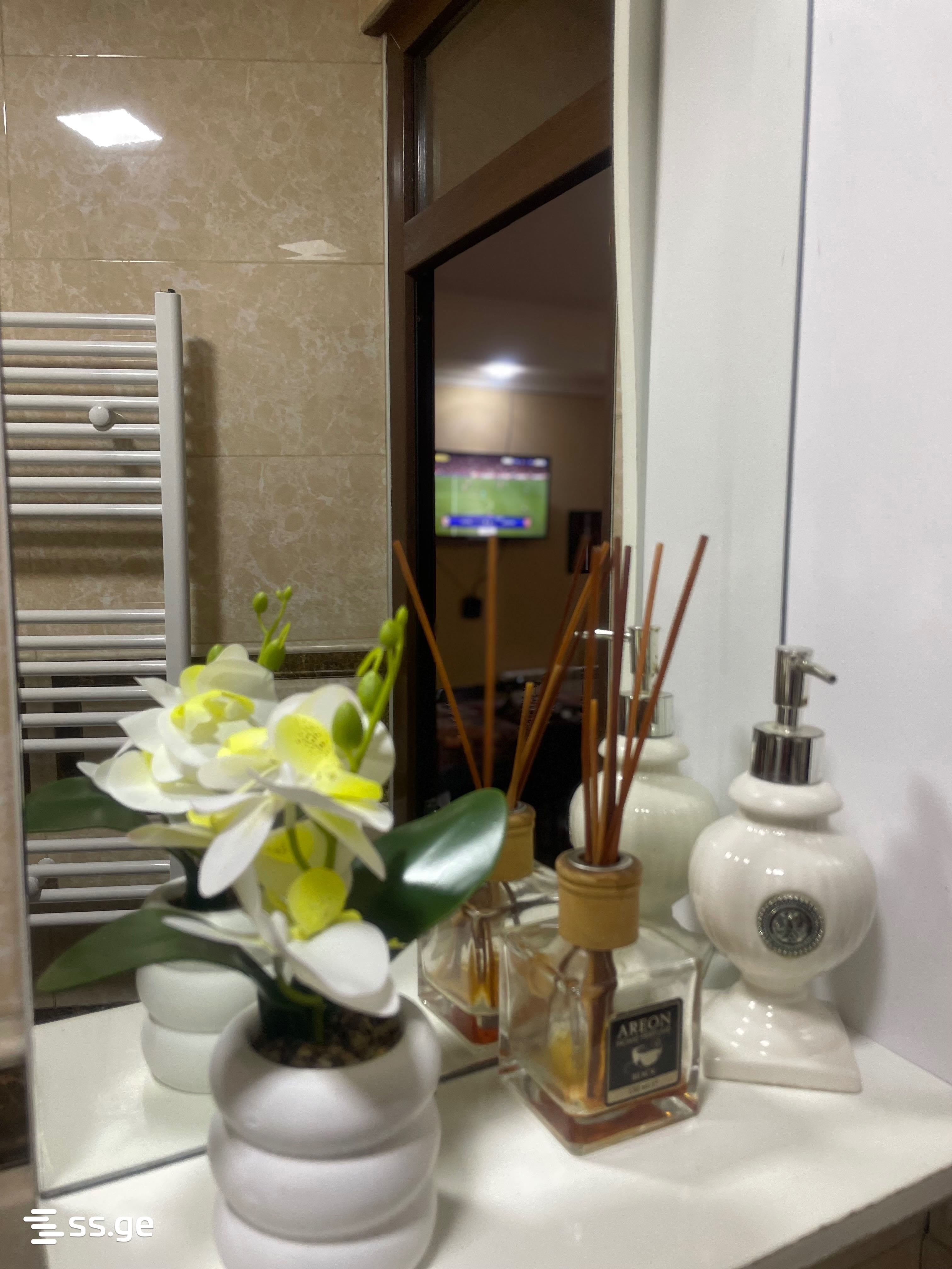 3 Room Flat Daily Rent. Sololaki view 3