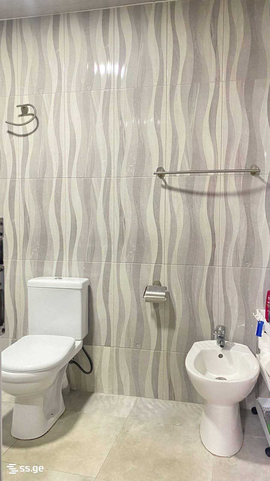 5 Room Private House Daily Rent. Kutaisi view 4