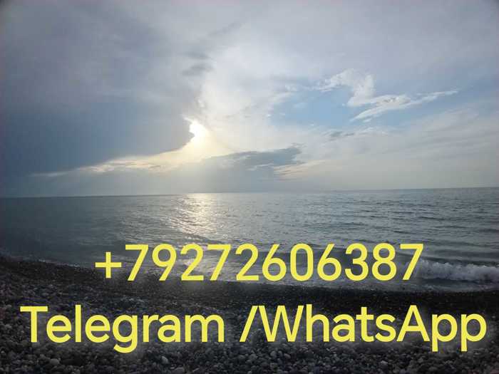 https://static.ss.ge/20260520/17_a785da62-ccd4-4ccb-af9d-1e01e9d63764_Thumb.jpg