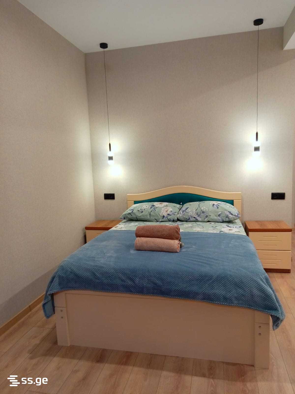 1 Room Flat Daily Rent. Vazisubani, 7 of 7