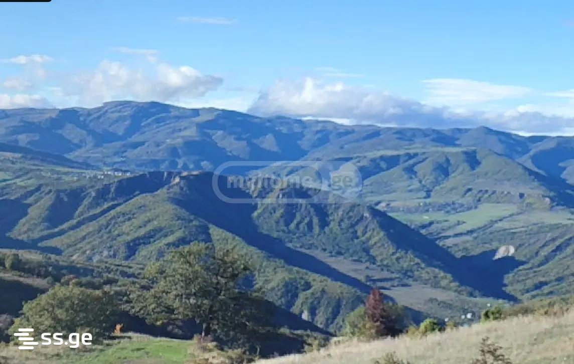Land For Sale. Orbeti view 1