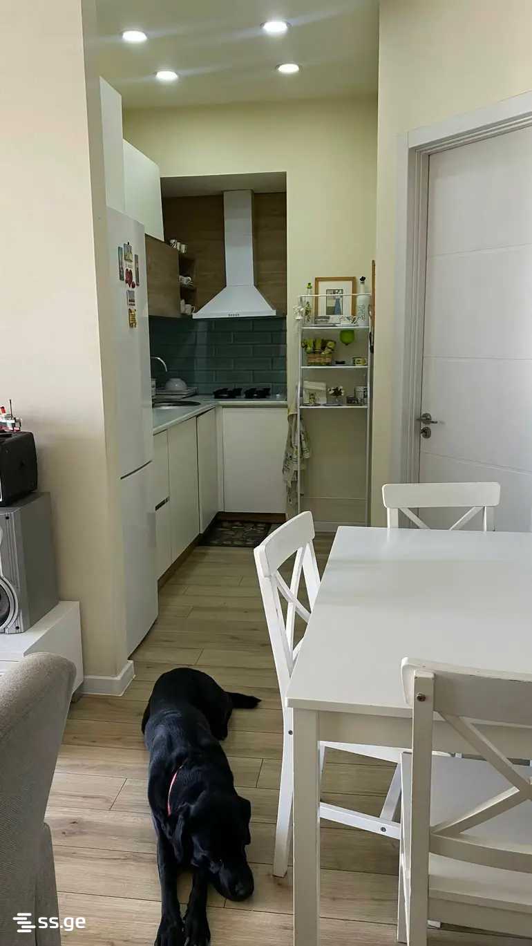 3 room Flat For Sale. Didi digomi - Widok 5