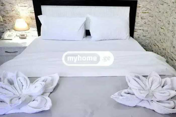 https://static.ss.ge/20260521/0_6230b195-95d0-4c7f-bbd0-8faa281d55cc_Thumb.jpg