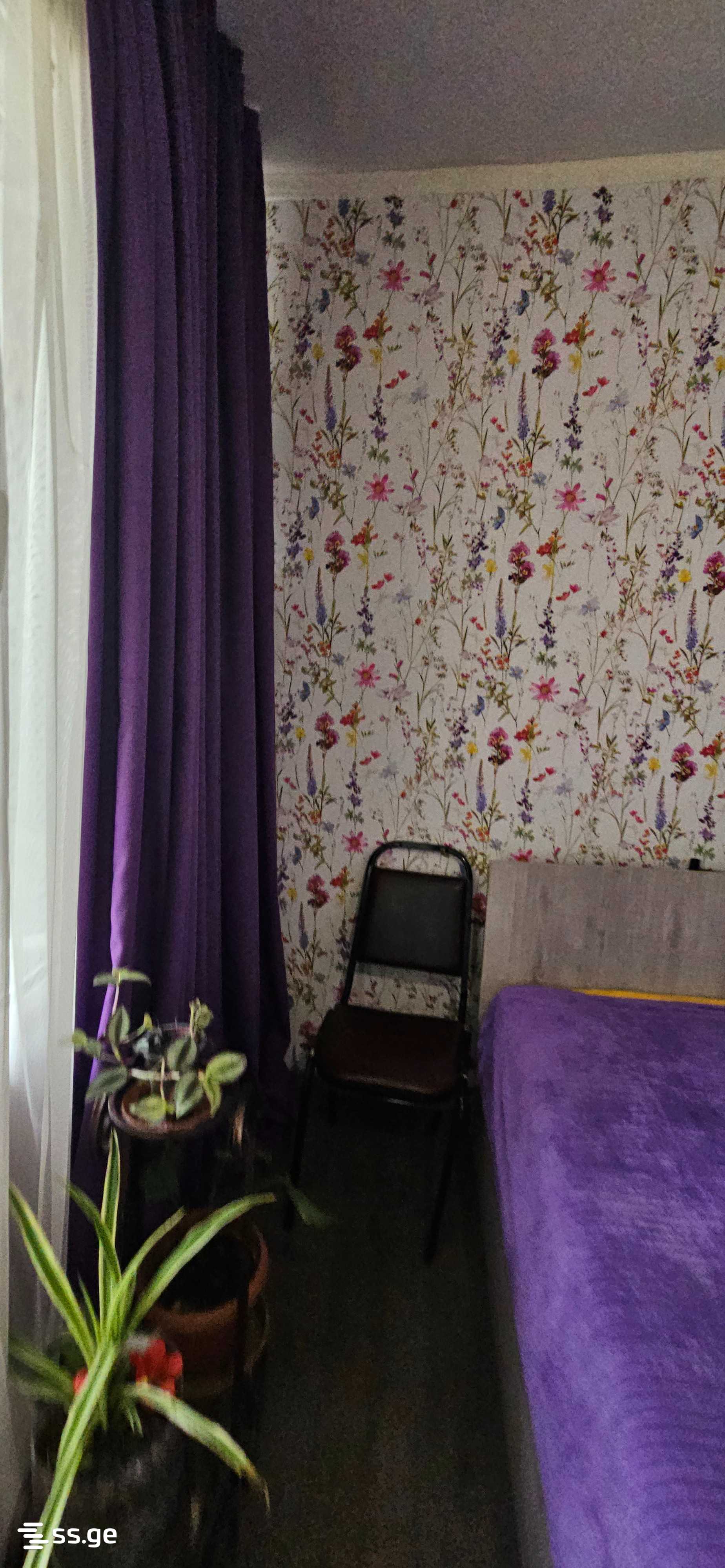 3 Room Private House Daily Rent. Kojori view 3