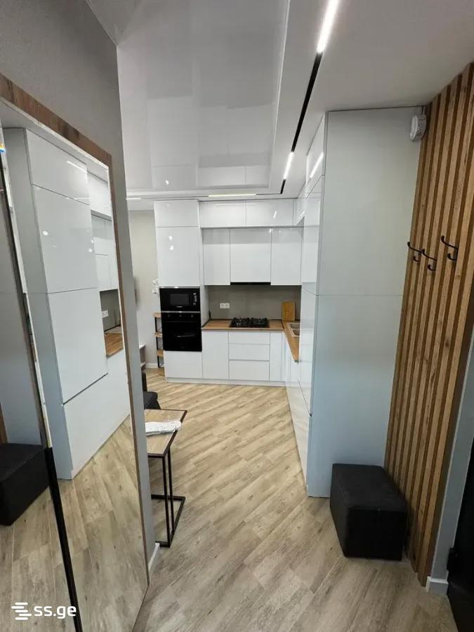 2 Room Flat Daily Rent. Nadzaladevi view 2
