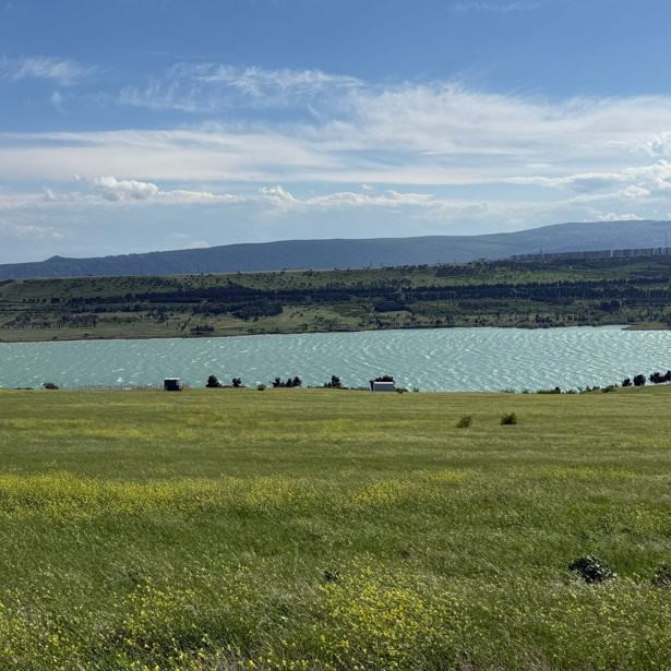 https://static.ss.ge/20260521/7_f37ad74c-ec27-4e53-81ab-60d183a0fc99_Thumb.jpg