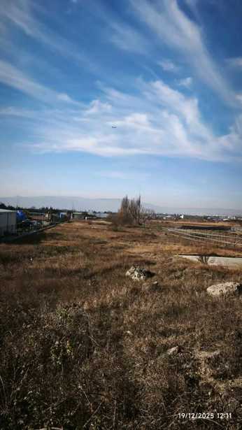 https://static.ss.ge/20260521/8_8ef72be8-e317-4576-b8d8-2a6592bf96e3_Thumb.jpg