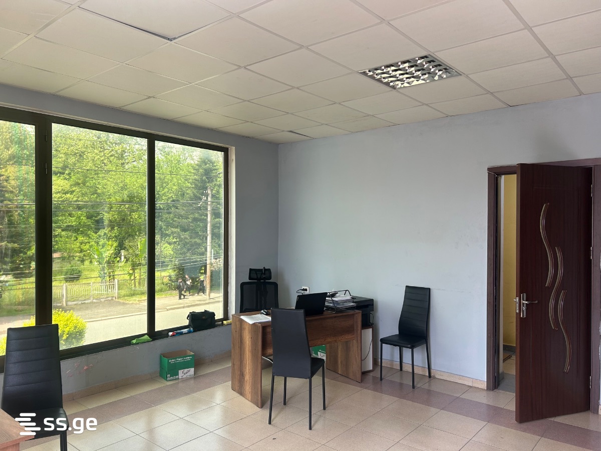 Office For Rent. Zugdidi view 2