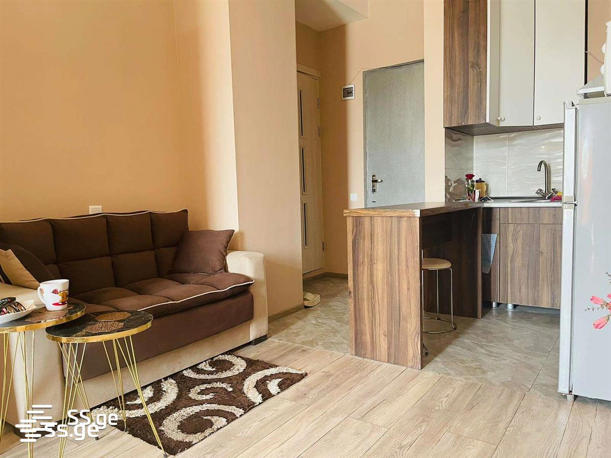 1 Room Flat Daily Rent. Samgori view 3