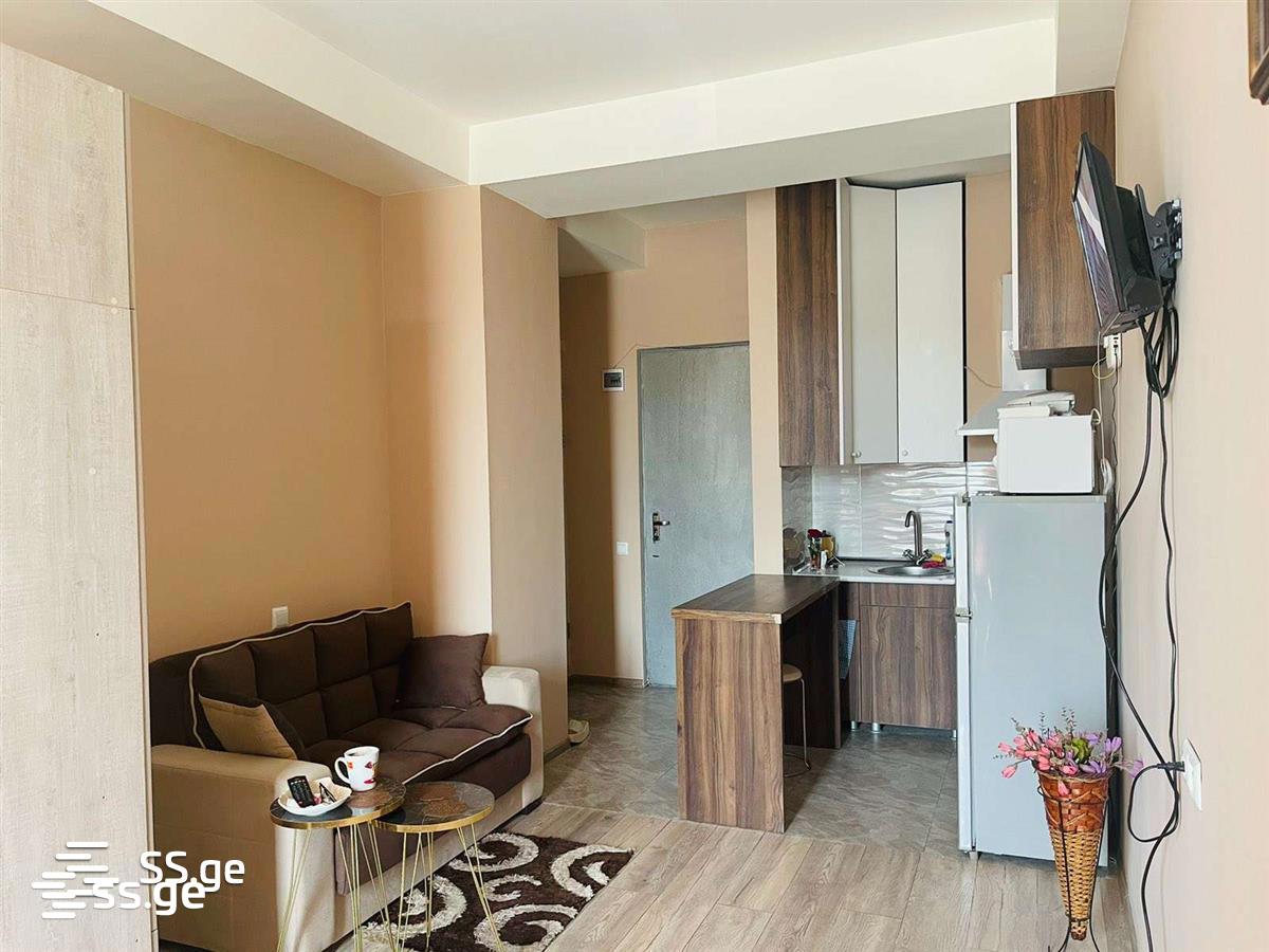 1 Room Flat Daily Rent. Samgori view 6