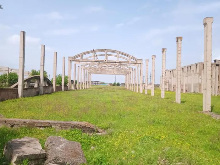 https://static.ss.ge/20260522/19_964812b2-6e92-4d7f-8855-416deb3b0cc2_Thumb.jpg
