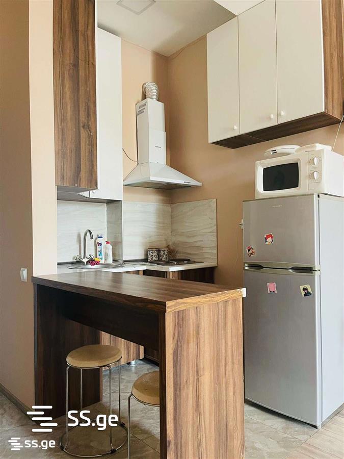 1 Room Flat Daily Rent. Samgori view 5
