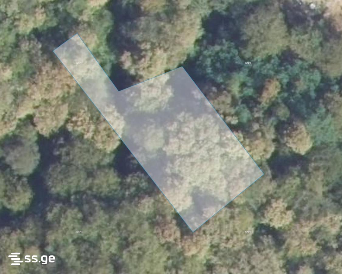 Land For Sale. Nasaguri view 2