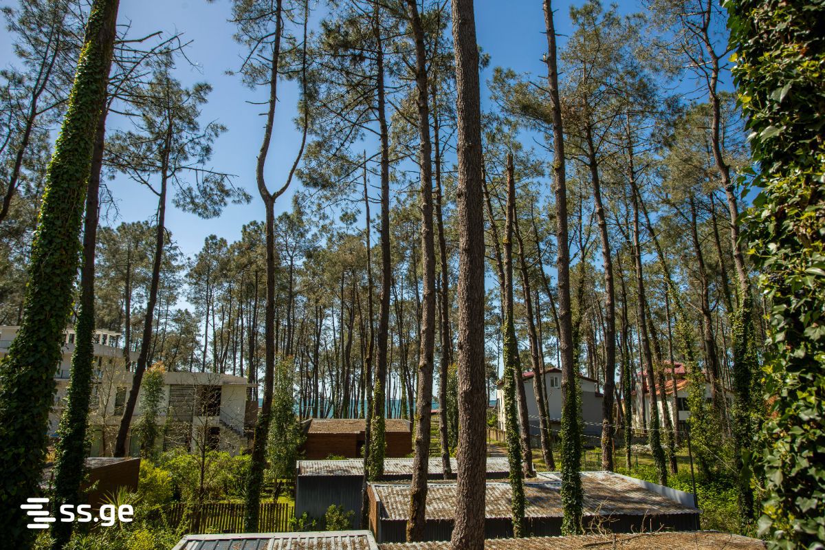3 Room Summer Cottage Daily Rent. Shekvetili view 2