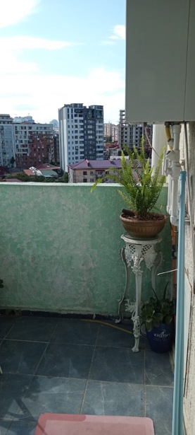 https://static.ss.ge/20260522/7_eb4cba08-8227-4bbf-a982-cf4ef5388fa5_Thumb.jpg