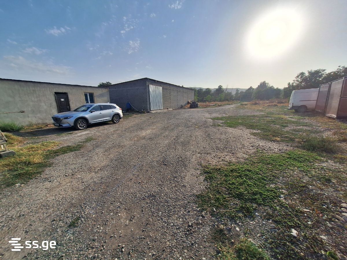 Store-Industrial Property For Sale. Mukhrani view 9