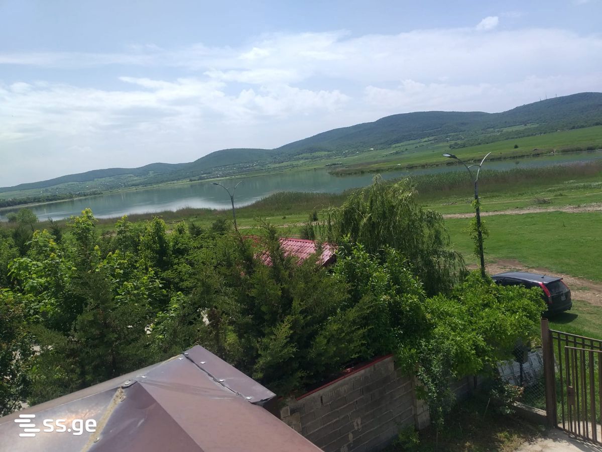 5 Room Private House Daily Rent. Bazaleti view 12