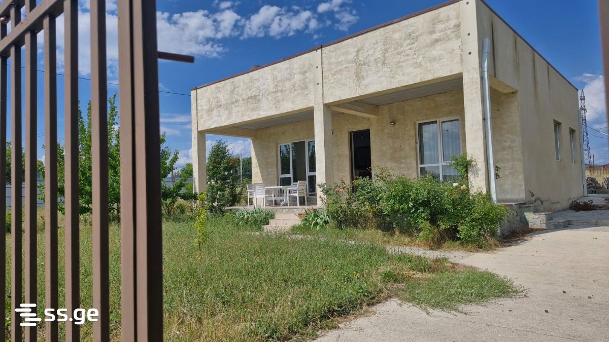 5 Room Private House Daily Rent. Bazaleti view 9