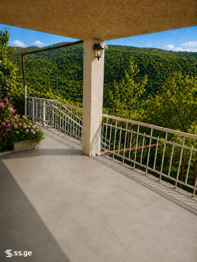 5 Room Private House Daily Rent. Gldani, 12 of 12