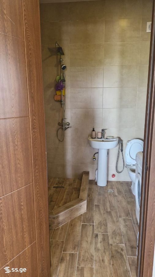 5 Room Private House Daily Rent. Bazaleti view 5