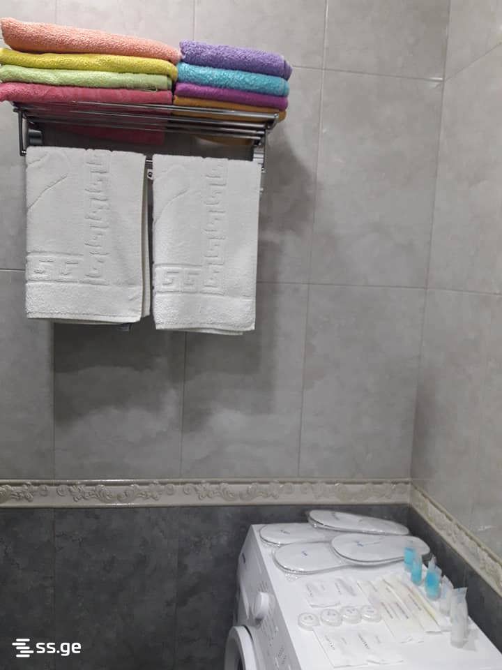 3 room Flat Daily rent. Vedzisi – další